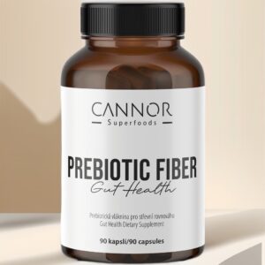 Prebiotická vláknina pro střevní mikrobiom - doplněk stravy Prebiotic Fiber (90 kapslí)